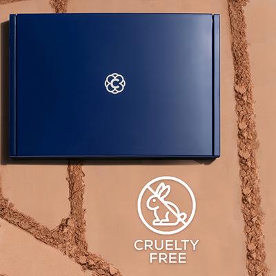 Chambor Studio Pro 2-In-1 Powder Foundation, Dual-Use Wet & Dry, Long-Lasting Matte Finish, N 103 15 gm - Foundation