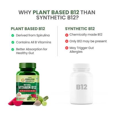 Vlado's Himalayan Organics Plant Based Vitamin B12 Veg Capsules 60's - Multi-Vitamins