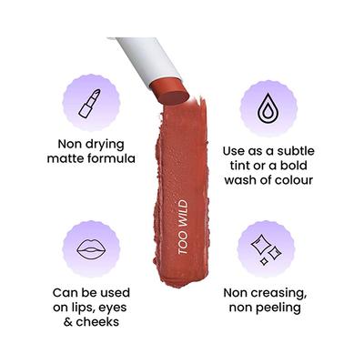 FAE Beauty Terracotta Buildable Matte Lipstick Shade Too Wild 3.5 gm - Lipsticks