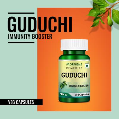 Morpheme Remedies Guduchi (Tinospora Cordifolia) 500mg Extract Veg Capsule 60's - Herbal Dietary Supplement
