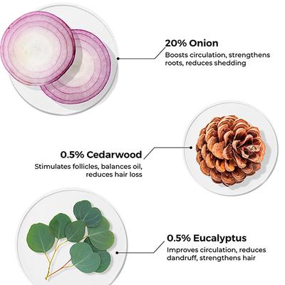 Brillare Onion Oil For Hair Fall Reduction 100 ml - Hair Oils