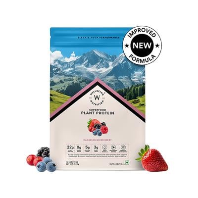 Wellbeing Nutrition Organic Vegan Plant Protein Isolate Powder - 22g Protein, 5g BCAA 500 gm - Others