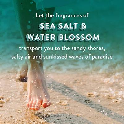 Find Your Happy Place Sunkissed Ocean Waves Souffle Body Butter Sea Salt & Water Blossom 200 gm - Body Butter