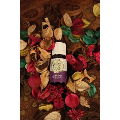 House of Aroma Lavender Fragrance Oil 10 ml - Face Oils