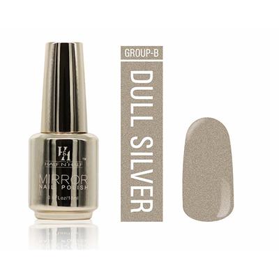 Half N Half Mirror Nail Polish,NP-06 B - Dull Silver 18ml - Nail Polish