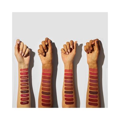 FAE Beauty Modern Matte Lipstick Shade Sassy 3.5gm - Lipsticks