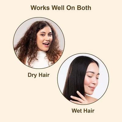 Bronson Professional Paddle Hair Brush Vented for Detangling and Instant Hair Volume (Black) 12's - Hair Brushes