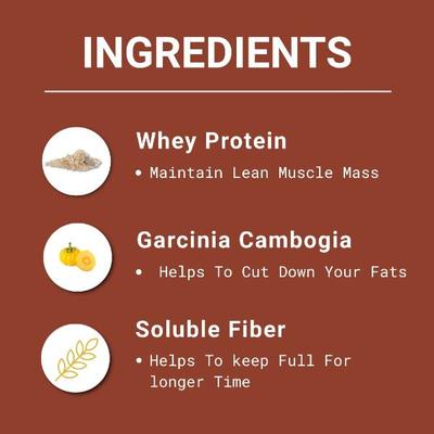 Obesigo Premium Chocolate Powder 350 gm - Weight Loss