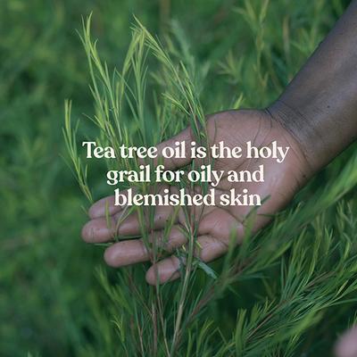 The Body Shop Skin Cor Tea Tree A0X 40 ml - Day Cream