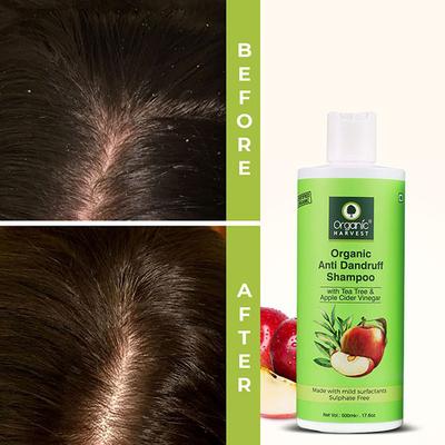 Organic Harvest Anti Dandruff Shampoo With Tea Tree & Apple Cider Vinegar 500 ml - Shampoos