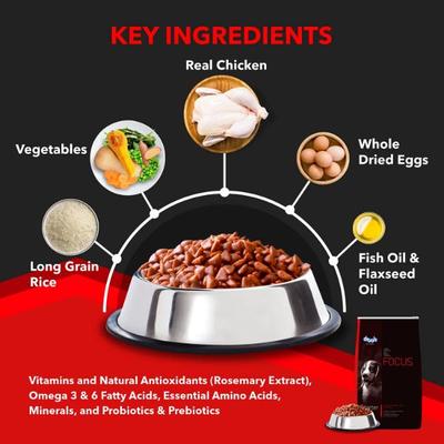 Drools Focus Starter Super Premium Dog Food With Free Container 1200 gm - Petfood