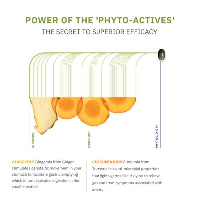 Phytocid GT Capsule 10'S - Digestive Care