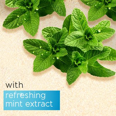 Pears Pure & Gentle Body Wash - With Mint Extract 500 ml - Shower Gels & Body Wash