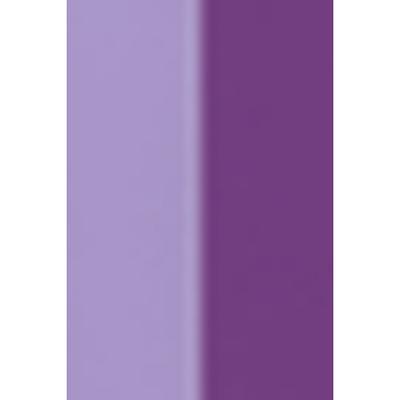 MyGlamm 2IN1 Nail Paint-Wine Tasting 1 gm - Nail Polish