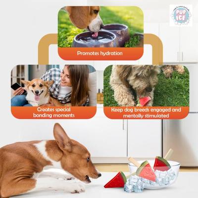 Pup Ice Fruity Lollies Watermelon 90 g - Petfood