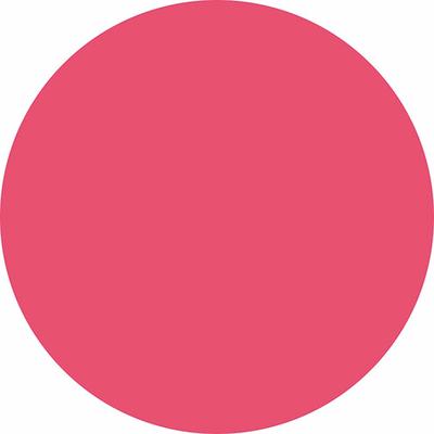 Matt Look Lip Makeup Girls Essential Colour Lip Balm Moisturizing Lip, Peach Blossom 3.5 gm - Lip Balms