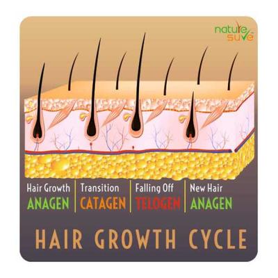 Nature Sure Thumba Wonder Hair Oil 110 ml - Hair Oils