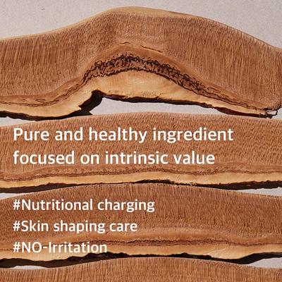 Mixsoon Reishi Mushroom Essence 100 ml - Face Serum