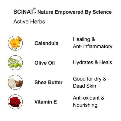 Inatur Herbals Hand & Nail Cream 100 gm - Hand Creams