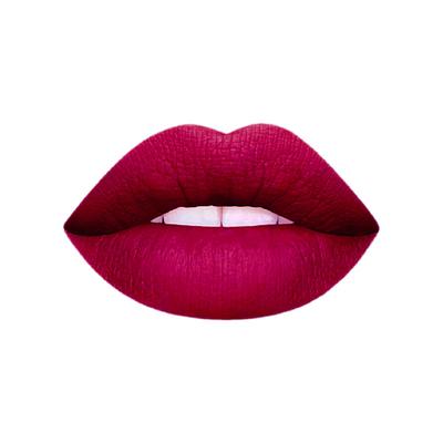 Matt Look Stay Matte Lipstick, Mauve-Story 3.5 gm - Lipsticks