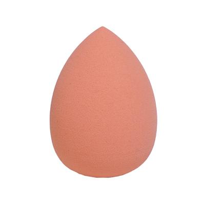 Bronson Professional Makeup Sponges Blender Set Beauty Sponge with Egg Case Color May Vary 1's - Sponges & Applicators