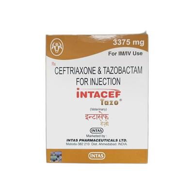 INTACEF TAZO (VET) Injection 1's - Antibiotic-Far