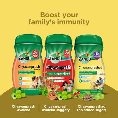 Zandu Chyavanprashad Sugar Free Revitalizer 450 gm - Chyawanprash