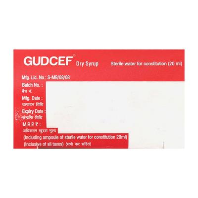 GUDCEF PINEAPPLE FLAVOUR Dry Syrup 30ml - Bacterial Infections-Cep