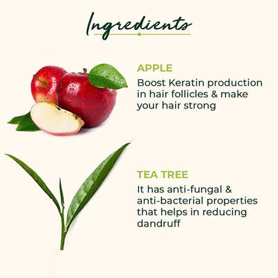 Organic Harvest Anti Dandruff Shampoo With Tea Tree & Apple Cider Vinegar 500 ml - Shampoos