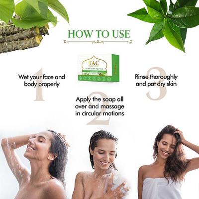 TAC The Ayurveda Co. Tea Tree & Giloy Sugar Soap (Pack of 3 x 100 gm) - Personal Care (Ayush)