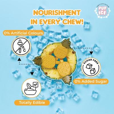 Pup Ice Fruity Lollies Pineapple 90 g - Petfood
