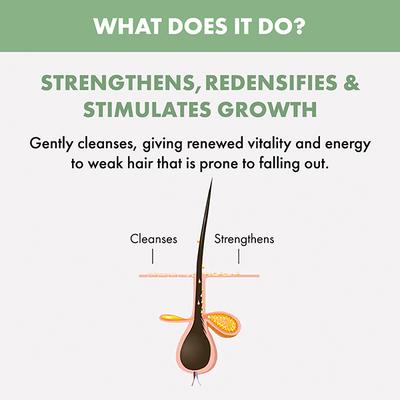 Alfaparf Milano Scalp Renew Energizing Low Shampoo For Hair Thinning And Hair Fall 250 ml - Shampoos