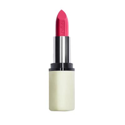asa Flamboyant Flamingo C20 4.2 gm - Lipsticks