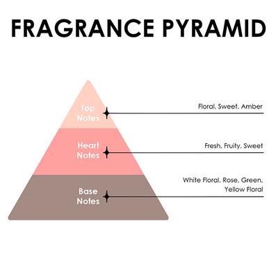 JD COLLECTIONS Jardin Perfume for Men 100 ml - Men Perfumes (Edt/Edp)