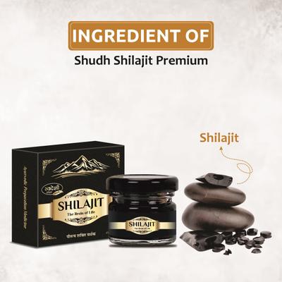Swadeshi Shudh Shilajit Premium Resin 20 g - Speciality Medicines