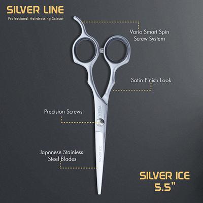 Vega Professional Silver Ice 5.5' Silver Line Hairdressing Scissor (VPVSC-26) 1's - Grooming Kits