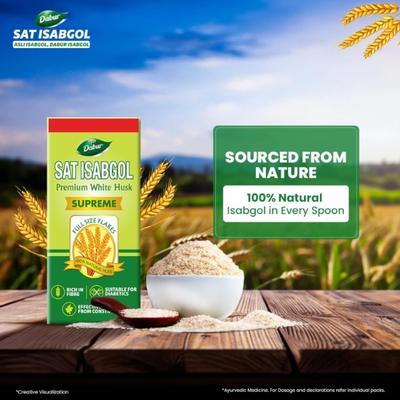 Dabur Sat Isabgol Husk 230 gm - Speciality Medicines