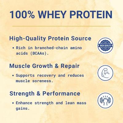 PentaSure 2.0 High Protein High Calorie Powder - Vanilla Flavour 400 g - Daily Health Drinks