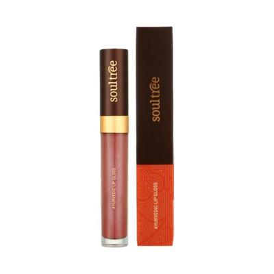 SoulTree Lip Gloss - Nude Pink 5 gm - Lip Glosses