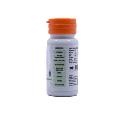 Dr. Talat's Majoon Falasafa Capsule 60's - Speciality Medicines