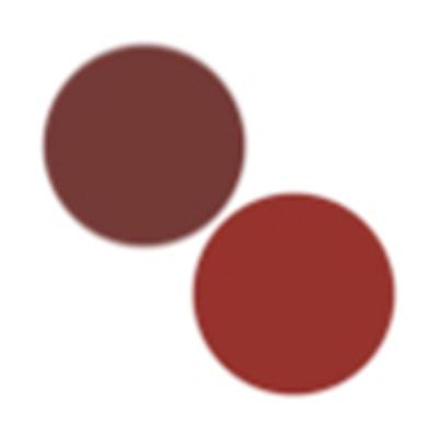 FAE Beauty Modern Matte Lipsticks and Gloss Bundle - Sizzling and Awkward (3.5gm and 3.5gm) 1's - Facial Kits