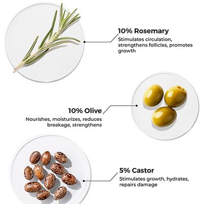 Brillare Rosemary Oil 100 ml - Hair Oils