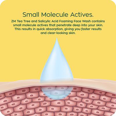 Zayn & Myza Tea Tree & Salicylic Acid Foaming Face Wash For Men 100 ml - Scrubs & Exfoliants