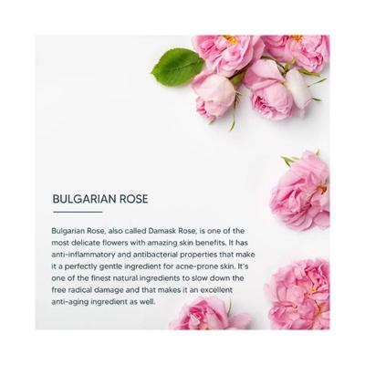 Lotus Professional DermoSpa Bulgarian Rose Radiance & Renewal Night Cream 50 gm - Night Cream