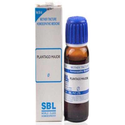 SBL Plantago Major Q Liquid 30 ml - Mother Tincture