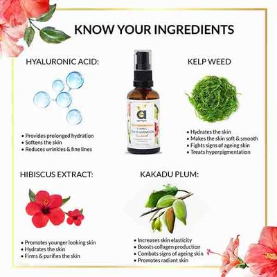 Anveya Advanced Vitamin C Facial Serum & Vit C Skin Rejuvenation Cream 110 ml - Face Mists