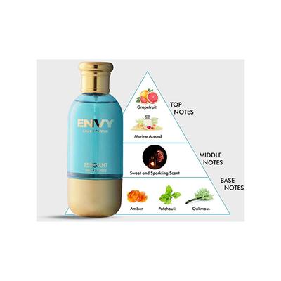 Envy Elegant Perfume 100 ml - Men Perfumes (Edt/Edp)