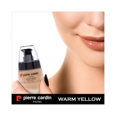 Pierre Cardin Parisaqua Wow Mineral Foundation 406 Ivory Skin With Warm Yellow 30 ml - Foundation