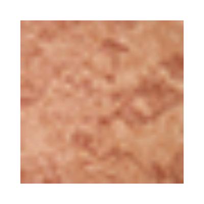 PAC Baked Highlighter 14 High Standards 7.5 gm - Highlighters & Illuminators