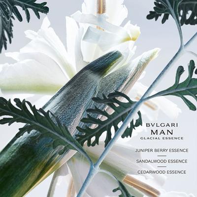 Bvlgari Man Glacial Essence Eau de Parfum 100 ml - Men Perfumes (Edt/Edp)